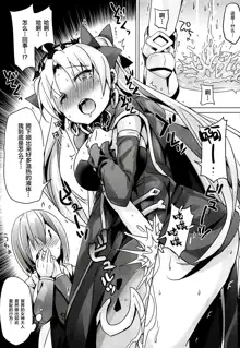 Toile no Yarikata o Shiranai Ereshkigal-chan, 中文