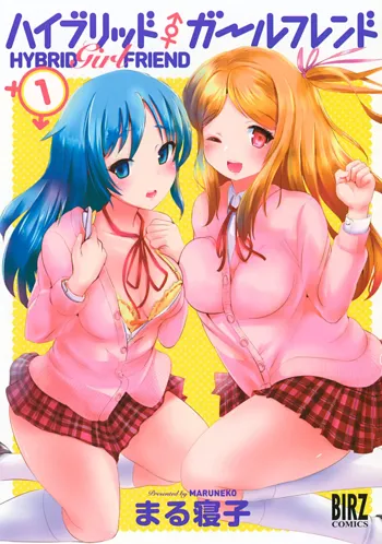 Hybrid Girlfriend Vol.1, 中文