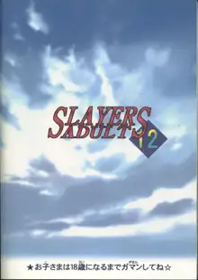 SLAYERS ADULT 12, 日本語