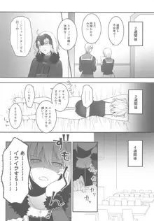 alter's secret., 日本語