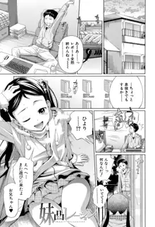 my妹しーくれっと, 日本語