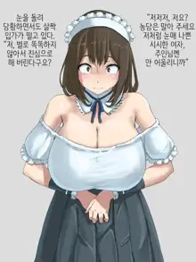 Shihakugan no Maid-san | 사백안의 메이드씨, 한국어