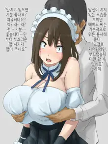 Shihakugan no Maid-san | 사백안의 메이드씨, 한국어