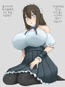 Shihakugan no Maid-san | 사백안의 메이드씨, 한국어