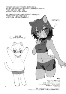 Neko-chan ni Amaetai | 네코쨩에게 응석부리고 싶어, 한국어