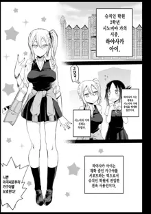 Hayasaka Ai wa H na Maid | 하야사카 아이는 H한 메이드, 한국어