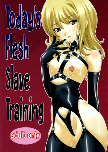 Honjitsu no Nikudorei Choukyou | Today's Flesh Slave Training, Français