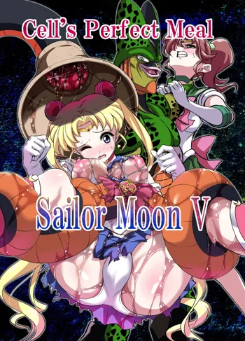 Sailor Moon V, English