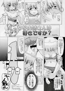 乳なのはさん。+シャマルさん。, 日本語