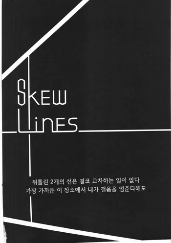 skew Lines, 한국어