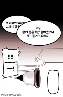 마망리아의 특기, 한국어