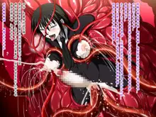 Super Hentai CG Shuu O-01 Youkai Hakuja Hime, 中文