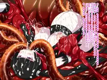 Super Hentai CG Shuu O-01 Youkai Hakuja Hime, 中文