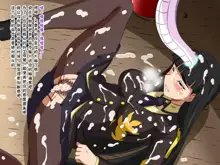 Super Hentai CG Shuu O-01 Youkai Hakuja Hime, 中文