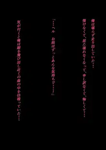 不可神な君のために, 日本語