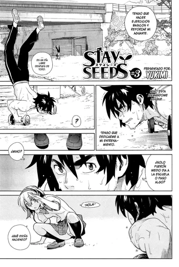 STAY SEEDS #3, Español