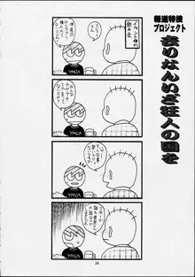 ちゃんと2の嶺上開花！, 日本語