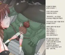 Nyotaika Onaho Yuusha-sama - Ore Yuusha Nanoni Seitenkan de Onna ni Sarete Orc no Onaho ni Sarechatta | 여체화 오나홀 용자님 나 용사인데 성전환으로 여자가 되어 오크 호나홀이 되버렸다, 한국어