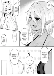 Isekai Shoukan III Elf na Onee-san-tachi wa Suki desu ka?, 한국어