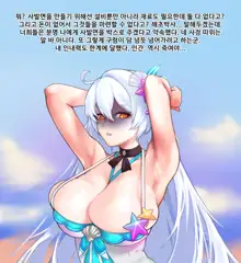 Herrscher of Void_Swimsuit, 한국어