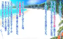 3days先乗り! ヤリまくり孕ませ 爆乳ビーチへようこそ!, 日本語