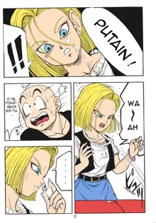 DragonBall H Maki San (decensored), Français