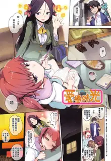 Otomebore (decensored), 中文