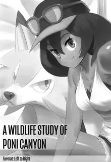 A Wildlife Study of Poni Canyon, 日本語