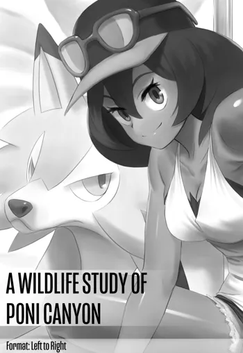 A Wildlife Study of Poni Canyon, 日本語