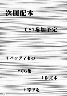 王女様とマスターシュ, 日本語