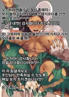 電撃強い！, 한국어