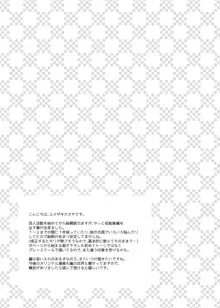 おんなのこのまゆ -がーるずえっぐでぃすとぴあ総集編01-, 日本語