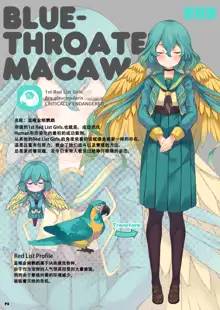 MACAW;EDUCATION, 中文