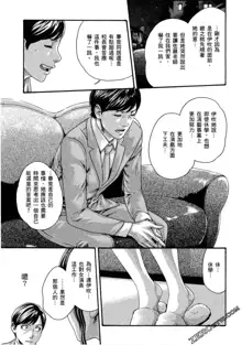 Sense Vol.11, 中文