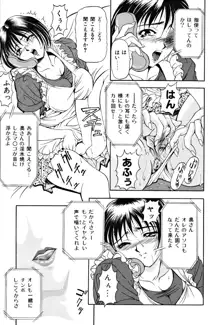 淑女凌辱, 日本語