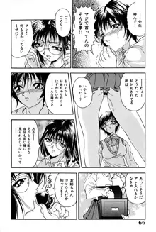 淑女凌辱, 日本語