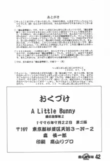 A Little Bunny, 日本語