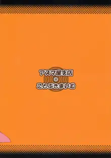 いけないあそびなんです?, 日本語