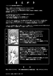 MASTER & SLAVE: ASUKA & REI, 日本語