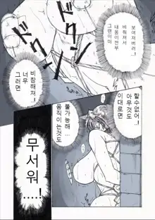 Roshutsu Hime no Hitsuzenteki Kyuuchi (Kou) | 노출공주의 필연적 위기2, 한국어