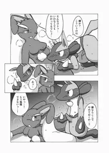 Lucario X Lopunny, 日本語