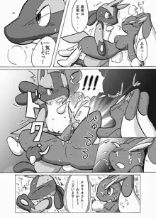 Lucario X Lopunny, 日本語