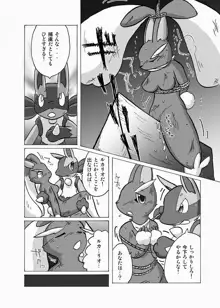 Lucario X Lopunny, 日本語