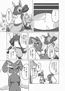 Lucario X Lopunny, 日本語