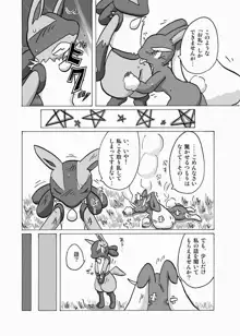 Lucario X Lopunny, 日本語