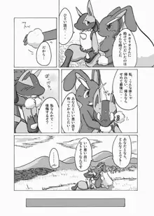 Lucario X Lopunny, 日本語