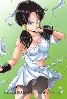 Videl LOVE, English