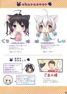 じょうずにできたね、こねこちゃん!, 日本語