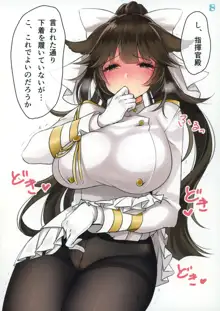 艦娘とエッチなことをしているイラスト本, 日本語