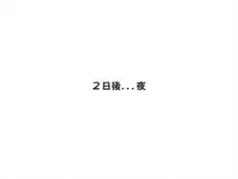 敗北淫巫女るなちゃんのアクメ地獄な日常, 日本語